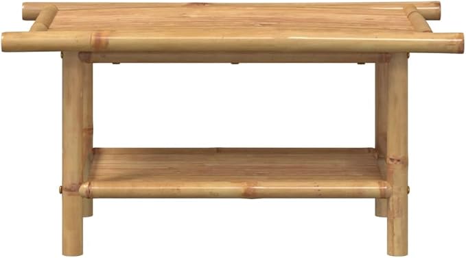 Bamboo Fiber Coffee Table with Storage Shelf, Eco-Friendly Modern Square Design - Image 4