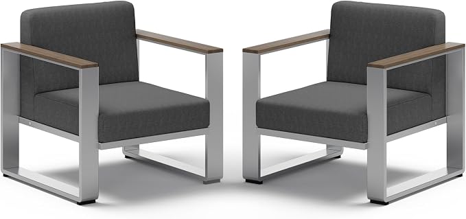 2 Pieces Outdoor Aluminum Armchair, Modern Patio Patio Furniture by ComfCove