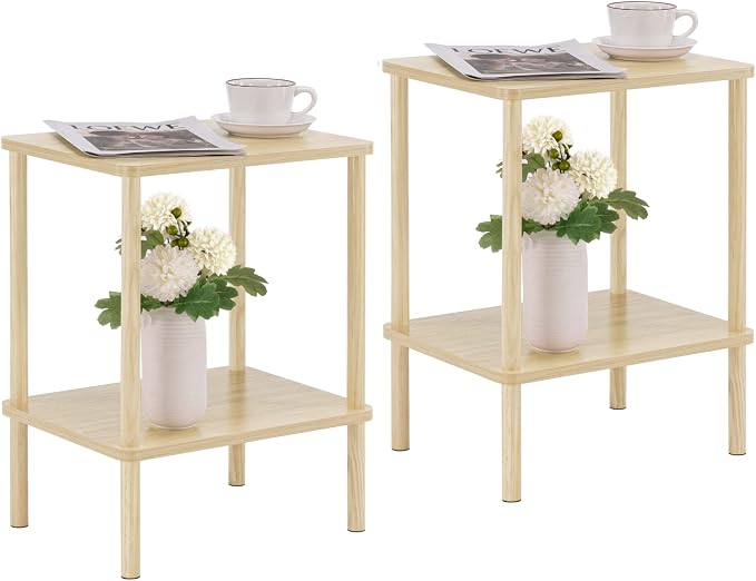 Apicizon 2 Tier End Table Set of 2, Small Side Table by APICIZON