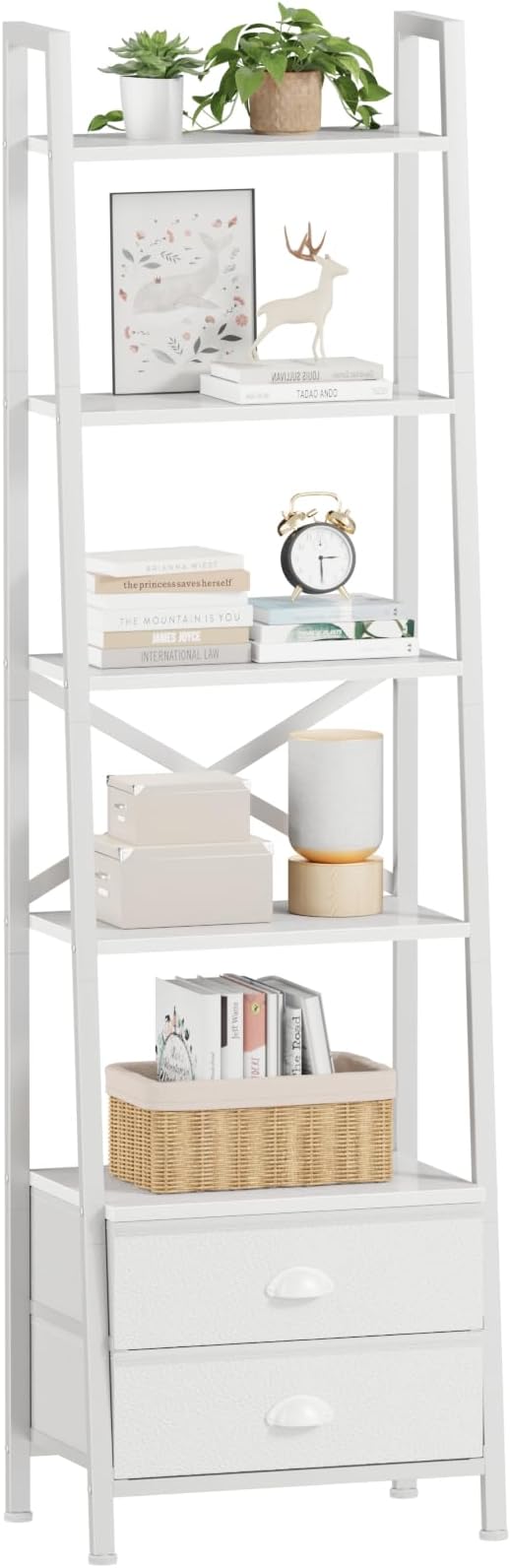Furologee 5-Tier Ladder Shelf by Furologee