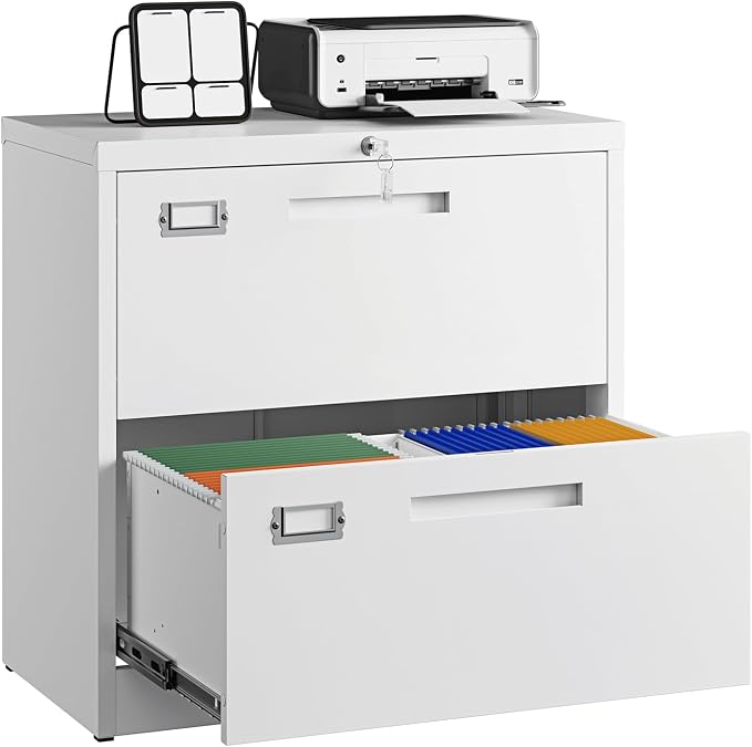 Letaya 2 Drawer File Cabinets by LetayaMetalCabinets