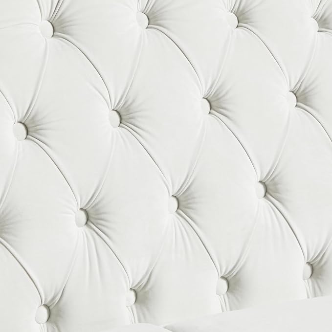 LEVNARY Chesterfield Loveseat Velvet, Upholstered Sofa - Image 5