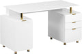 Elegant 57" W Executive Desk by TechniMobili