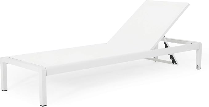 Christopher Knight Home Cynthia Outdoor Chaise Lounge - Image 4