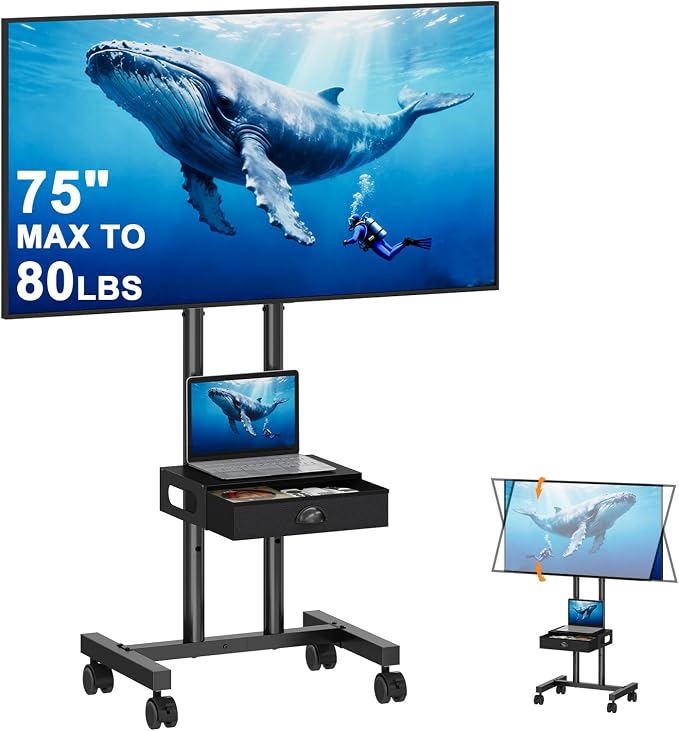 Hayexiha Rolling TV Stand with Drawer by Hayexiha