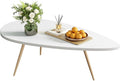 SAYGOER Modern Coffee Table White Oval Coffee Tables by Saygoer