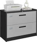 Letaya File Cabinet with Lock-Lateral 2 Drawer Metal Filing by LetayaMetalCabinets