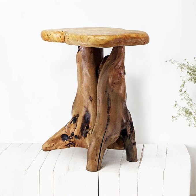 WELLAND Natural Tree Stump Stool, Live Edge End Table, Natural Edge Accent Table by WELLAND