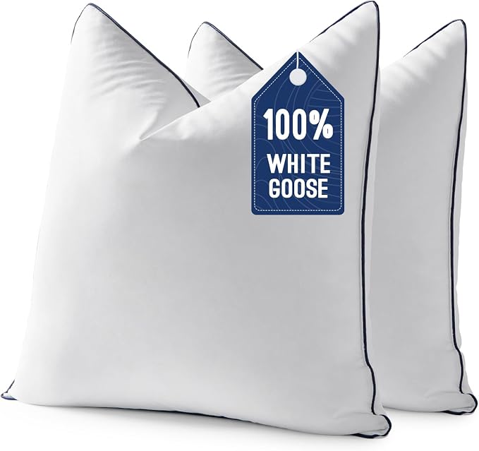 MIULEE Goose Feather Down 22x22 Pillow Insert Set of 2 by MIULEE