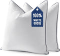 MIULEE Goose Feather Down 24x24 Pillow Insert Set of 2 by MIULEE