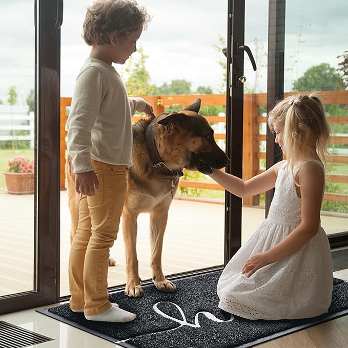 BeneathYourFeet Door Mat, Welcome Mat Low Profile Front Doormat Floor Mat Non - Image 6