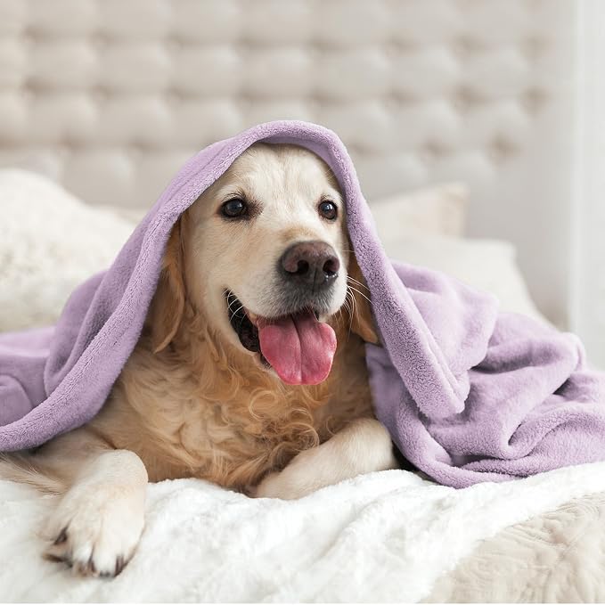 BEDELITE Fleece Blankets Queen Size Lilac Throw Blankets - Image 9