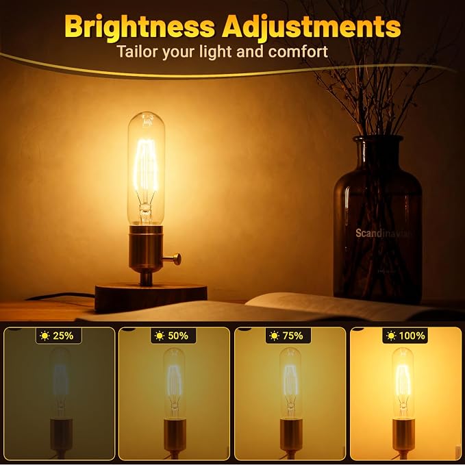 T10 Tubular Light Bulbs 40 Watt Incandescent Light Bulb, T10 Bulb, 120V 40W - Image 2
