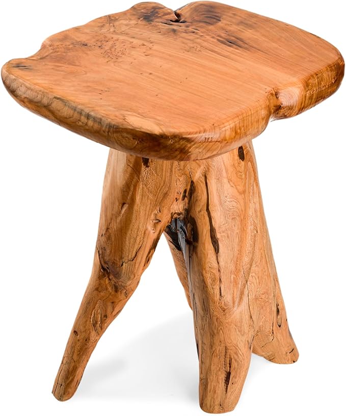 18.9 inch Live Edge Wood Stool, Live Edge Wood Stool, Freeform Mushroom Side - Image 7