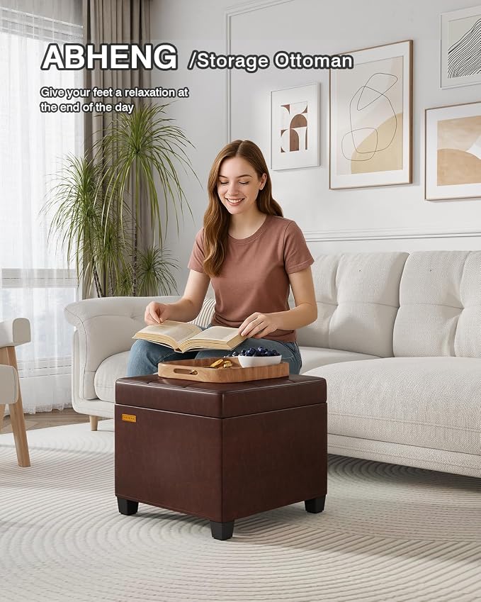 ABHENG Synthetic Leather Cover Steel Frame Ottoman - Image 5