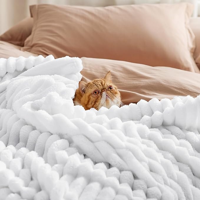 Bedsure GentleSoft White Twin XL Blanket - Image 4