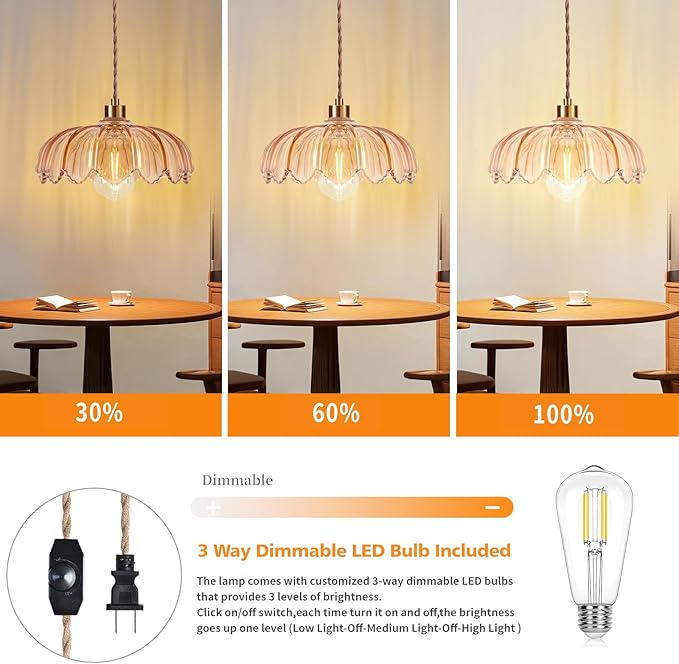 QIYIZM Plug in Pendant Light Hanging Lights - Image 2