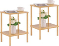 Apicizon 2 Tier End Table Set of 2, Small Side Table by APICIZON