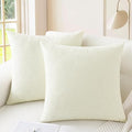 CaliTime Throw Pillow Covers Decorative 22 X 22 Inches Pack of 2 Cozy Chenille by CaliTime