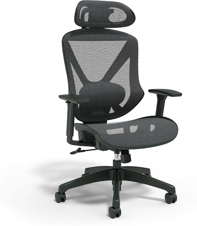 Staples Dexley Ergonomic Task Chair, Lumbar Support, Adjustable Height by Staples