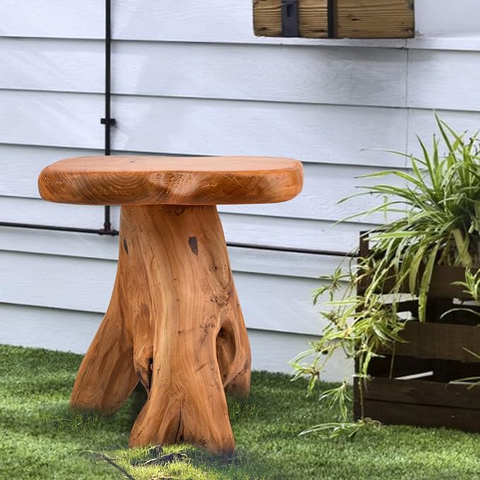 Small Side Table, Unique Design Live Edge Wood Stool, Freeform Natural Plant - Image 7