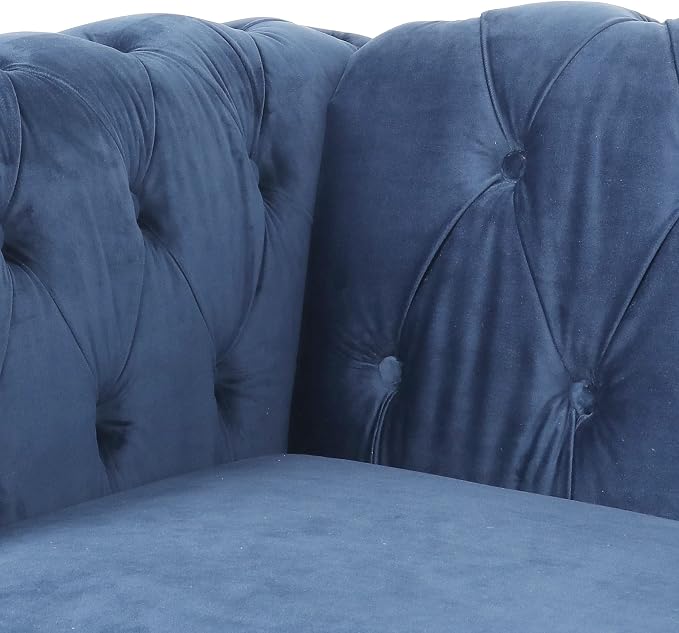 RARZOE Modern 2 Pieces Living Room Sofa Set, Contemporary Tufted Button Velvet - Image 5