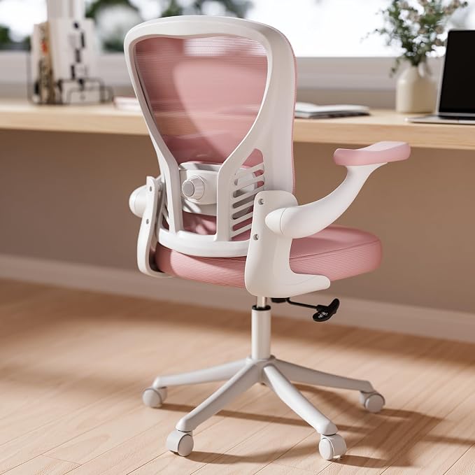GYI Ergonomic Office Chair, Mesh Desk Chair by GYI