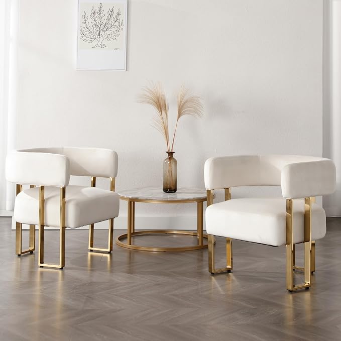 Modern Barrel Accent Chairs Set of 2, Living Room Side Chairs by DMFurniture