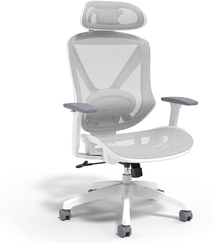 STAPLES Ergonomic Task Chair, Lumbar Support by Staples