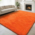 6x9 Fluffy Area Rug for Living Room, Shag Area Rugs for Bedroom by yulidayang