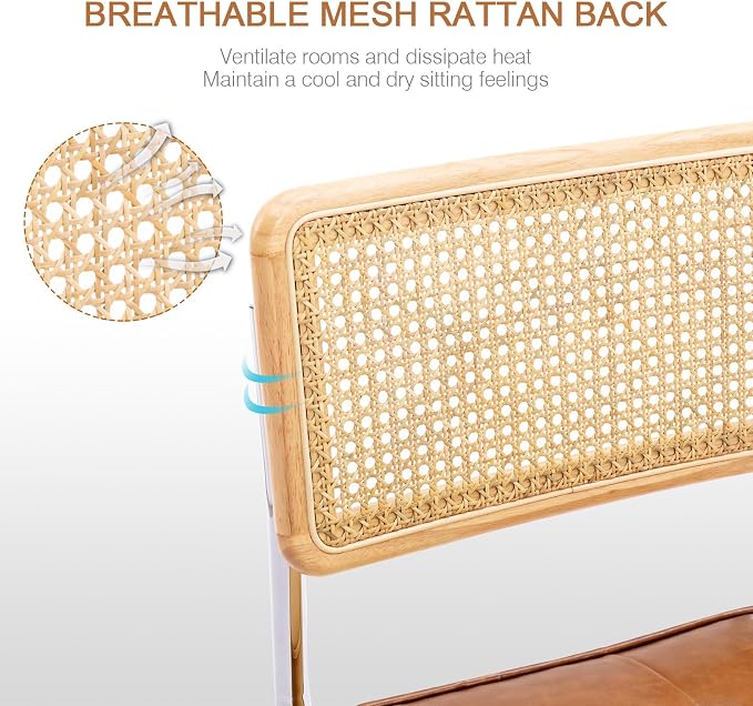 Zesthouse Natural Rattan Dining Chairs Set of 2, Modern Dining Room Chairs - Image 5