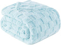 Exclusivo Mezcla Queen Size Flannel Fleece Blanket, Super Soft and Warm by ExclusivoMezcla