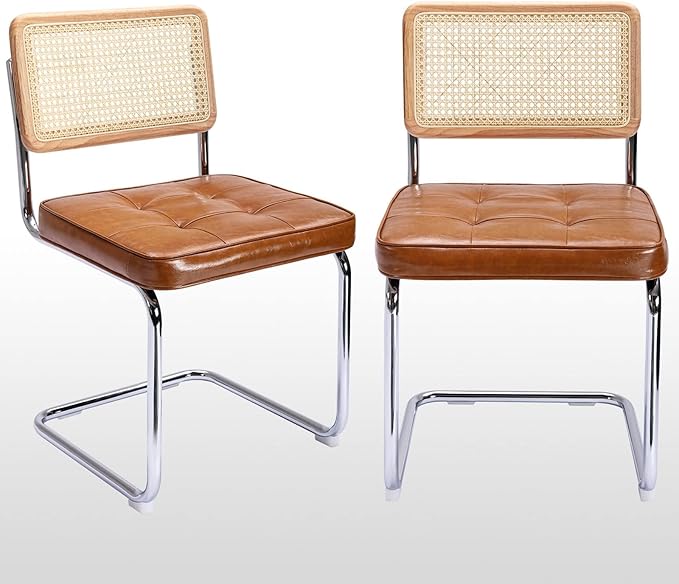 Zesthouse Natural Rattan Dining Chairs Set of 2, Modern Dining Room Chairs by Zesthouse