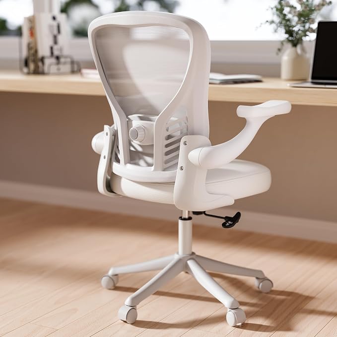 GYI Ergonomic Office Chair, Mesh Desk Chair by GYI