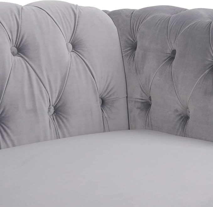 RARZOE Modern 2 Pieces Living Room Sofa Set, Contemporary Tufted Button Velvet - Image 5