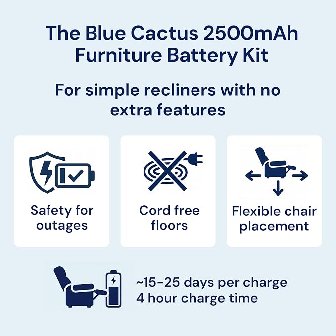 Blue Cactus 2500mAh Rechargeable Battery Pack - Image 2
