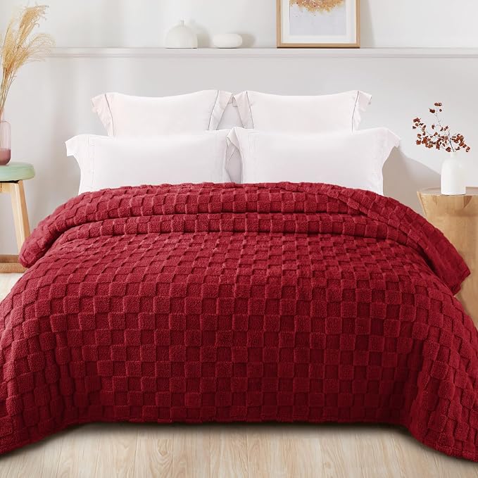 Exclusivo Mezcla Twin Size Flannel Fleece Blanket, Super Soft and Warm - Image 3