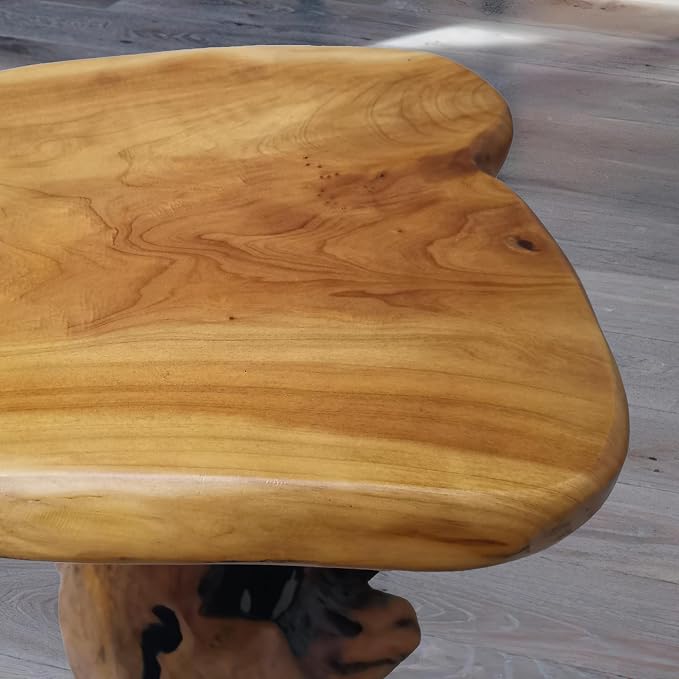 Brefhome 18.9" Tall Cedar Tree Stump Stool, Natural Wood Side Table, - Image 9