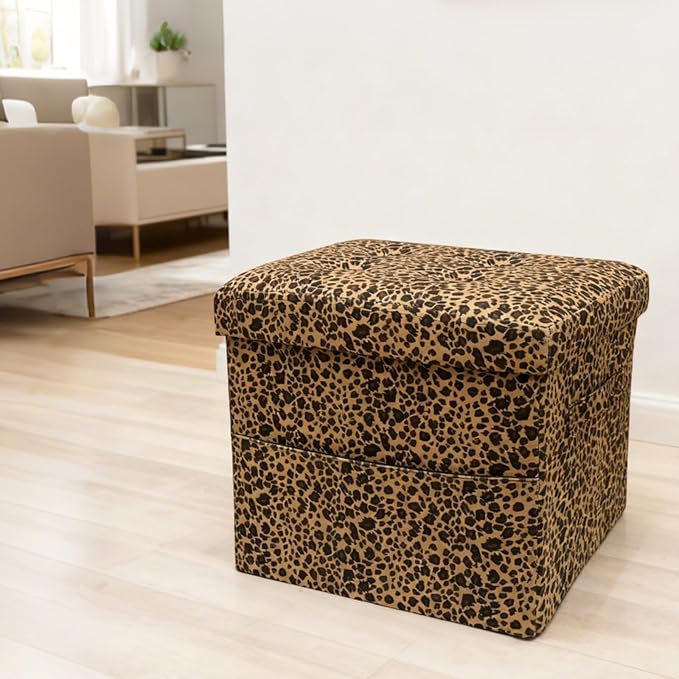ALASDO Storage Ottoman Footrest Stool Small Ottoman - Image 2