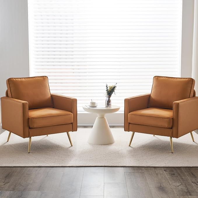 VINGLI Living Room Chairs Set of 2 by VINGLI