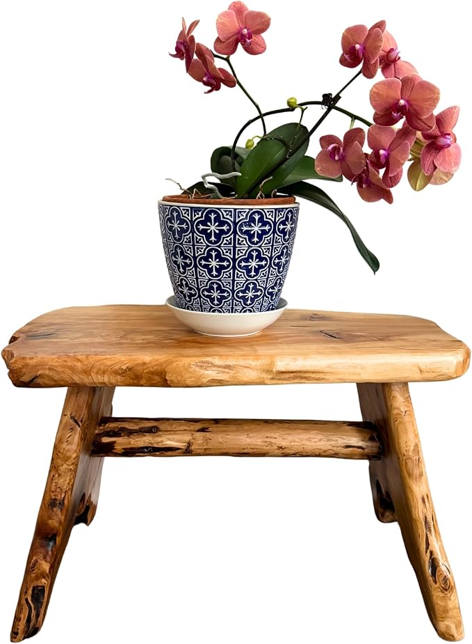 Natural Edge Cedar Wood Tree Stump Indoor/Outdoor Stool, Garden Bench, Night - Image 4