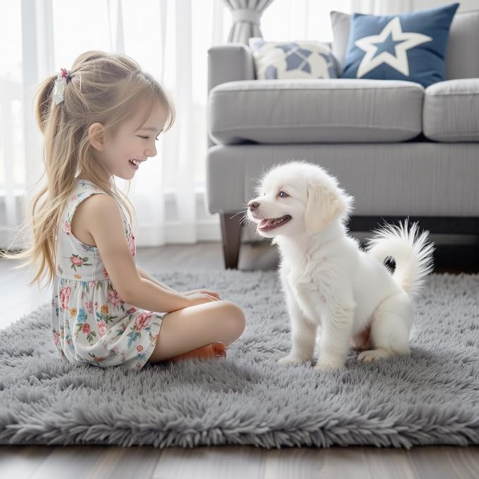 Ultra Soft Rug for Living Room, 3x5 Feet Grey Shag Area Rugs for Living Room - Image 2