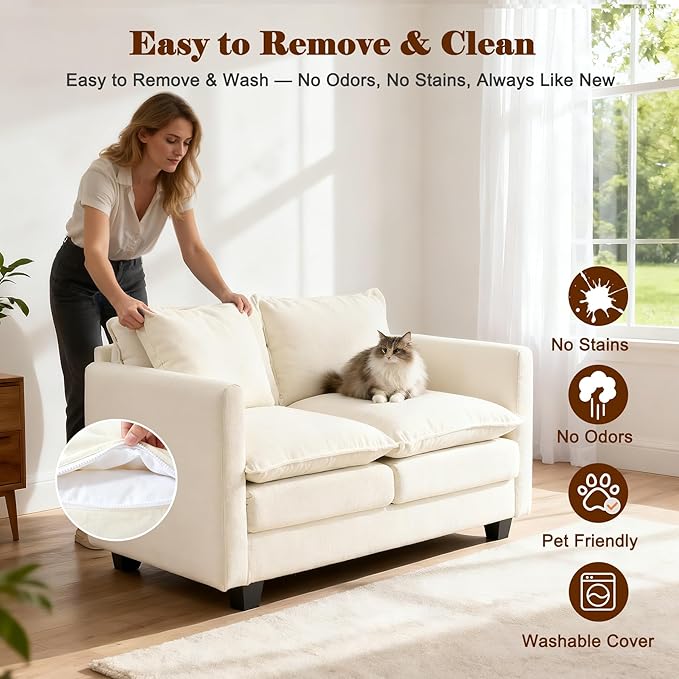 Loveseat Sofa Cloud Sofa Couch 50'', Modern Loveseats 2 Seat Couch 27" Deep Seat - Image 6