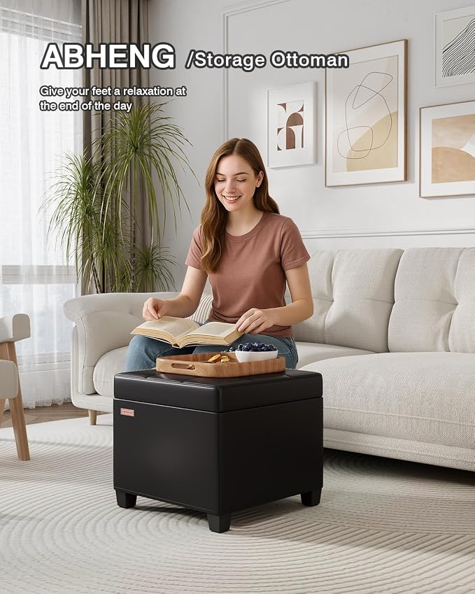 ABHENG Synthetic Leather Cover Steel Frame Ottoman - Image 6