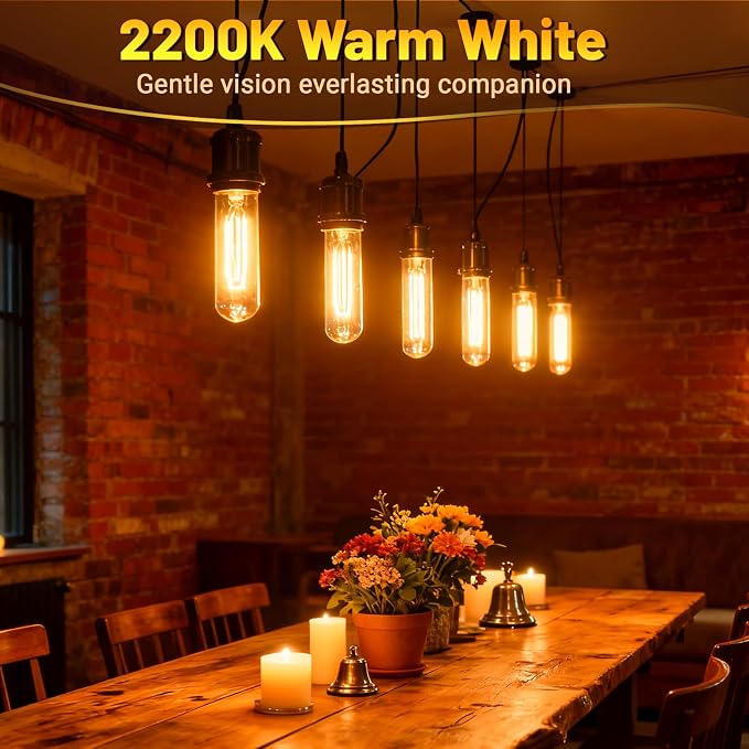 T10 Tubular Light Bulbs 40 Watt Incandescent Light Bulb, T10 Bulb, 120V 40W - Image 3