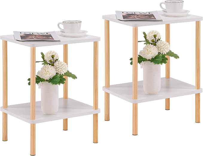 Apicizon 2 Tier End Table Set of 2, Small Side Table by APICIZON