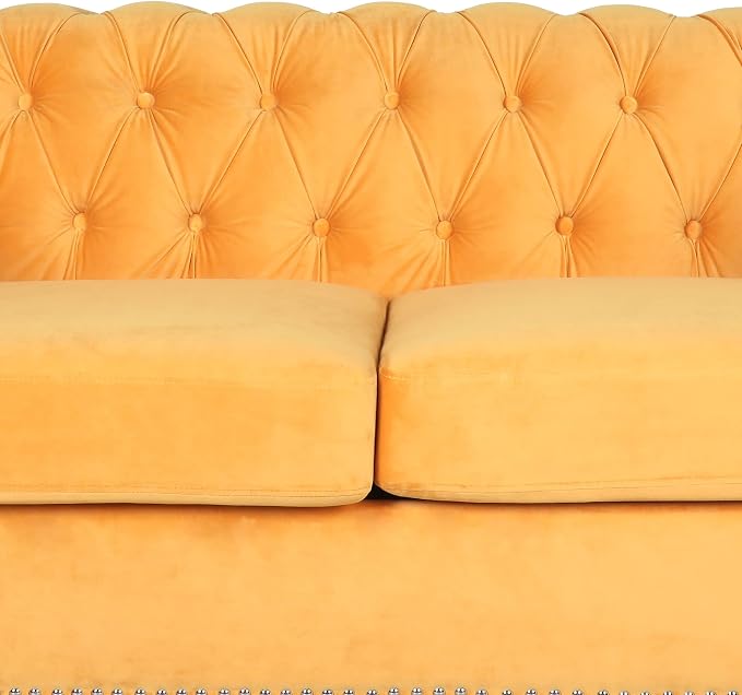 RARZOE Modern 2 Pieces Living Room Sofa Set, Contemporary Tufted Button Velvet - Image 5