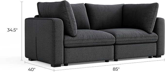 LINSY HOME Modern 2-Seater Sofa, Customizable Living Room Furniture - Image 2