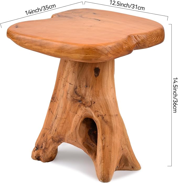 Small Side Table, Freeform Live Edge Wood Stool, Unique Design Natural Plant - Image 2