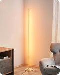 EDISHINE Floor Lamp, Remote Control & Foot Switch Floor Lamps by EDISHINE